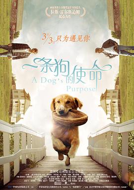 女性尿孔被撑开调教